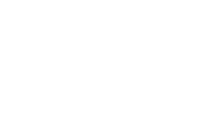 MagicHolidaysFin